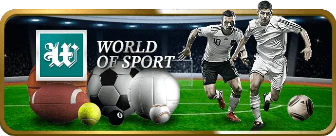 Hình ảnh tài liệu pháp lý và quy định của Q8BET
